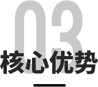 核心优势